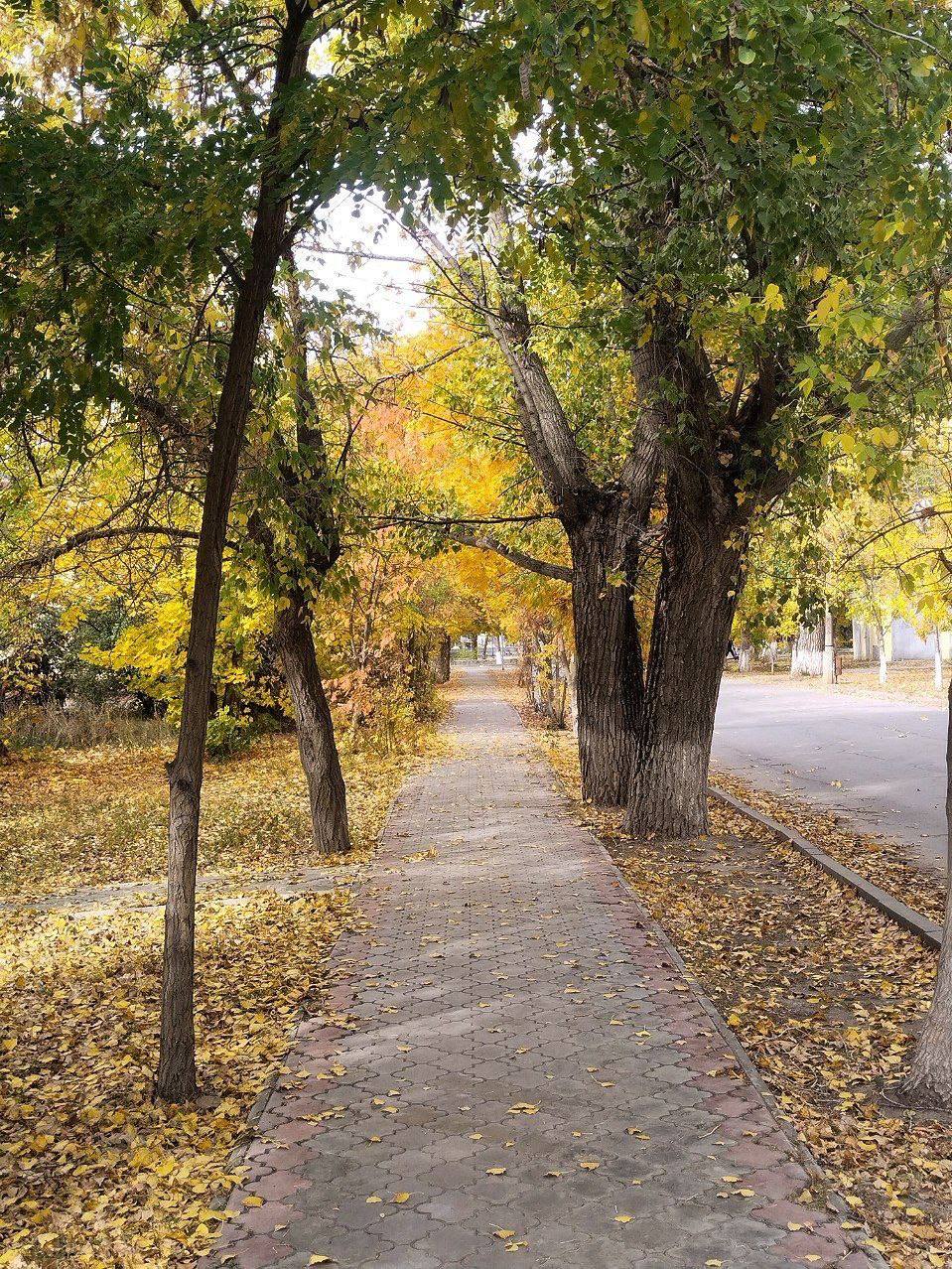 Осень в Михайловке 🥰  в Михайловке, 09.10.2025 в 13:00