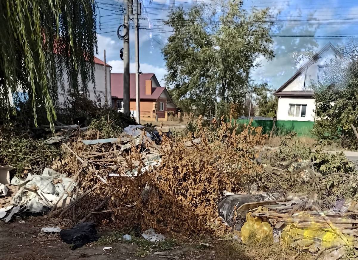 Михайловка.  в Михайловке, 04.10.2025 в 18:55