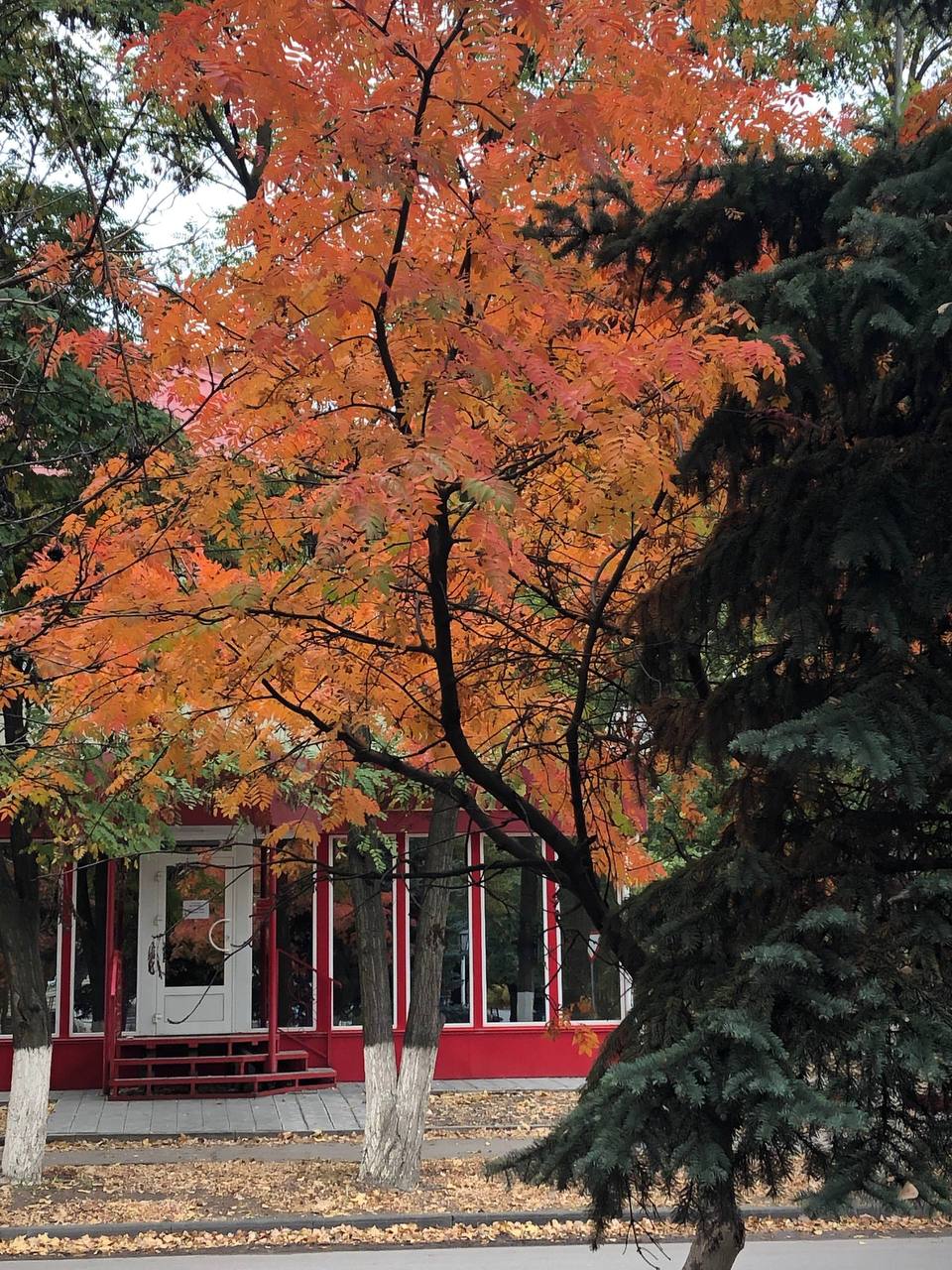 Я гость города Михайловка, за 3 дня прогулок,  сколько красоты было увидено, чего не видно в повседн в Михайловке, 05.11.2025 в 16:55