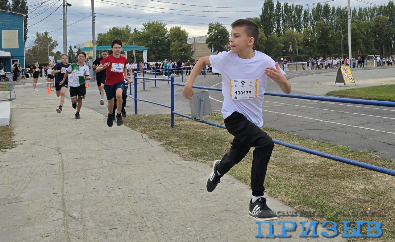 https://xn--24-6kcaj8aijhg0a4f.xn--p1ai//images/185898-img.jpg в Михайловке