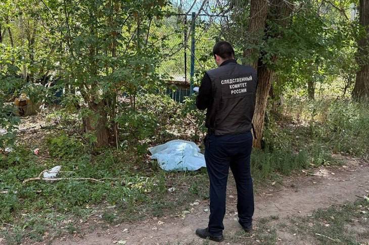 Волгоградец расправился с гулявшей с собаками женщиной в Михайловке, 10.08.2025 в 14:55