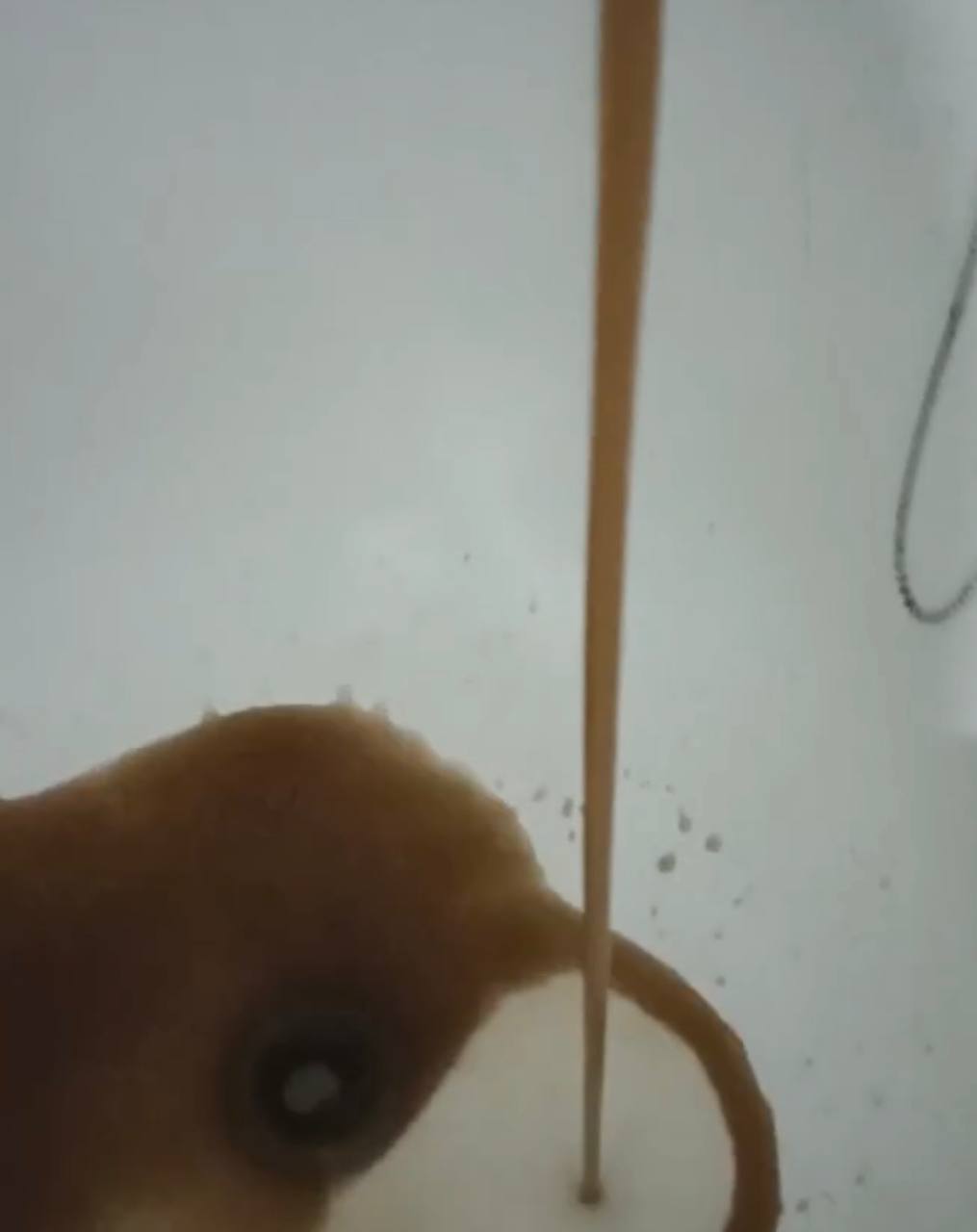 Михайловка.  в Михайловке, 05.11.2025 в 22:55