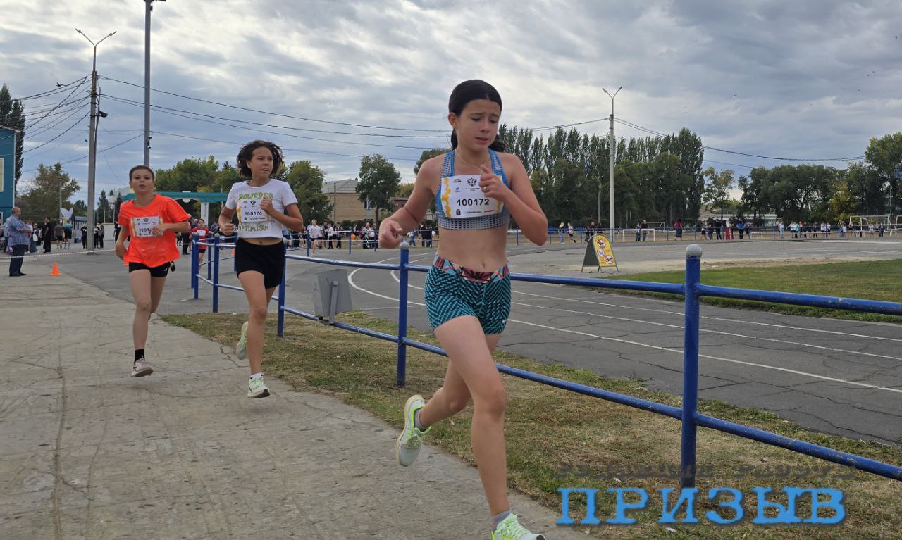 https://xn--24-6kcaj8aijhg0a4f.xn--p1ai//images/381657-img.jpg в Михайловке