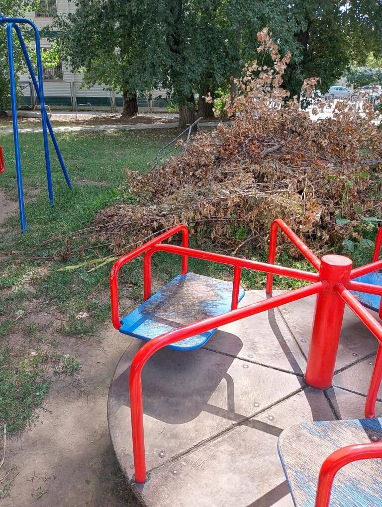 https://xn--24-6kcaj8aijhg0a4f.xn--p1ai//images/411404-img.jpg в Михайловке