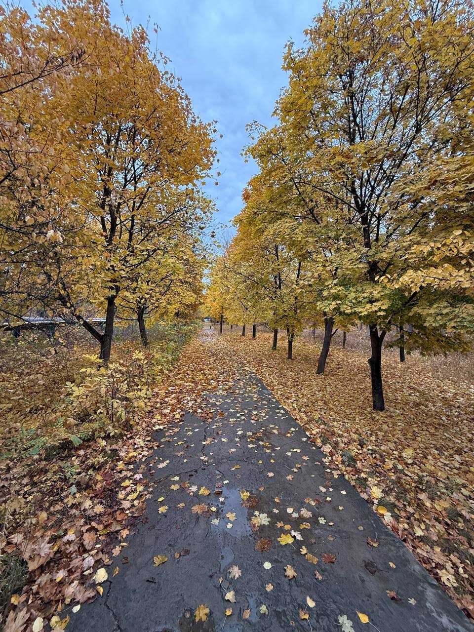 https://xn--24-6kcaj8aijhg0a4f.xn--p1ai//images/623598-img.jpg в Михайловке