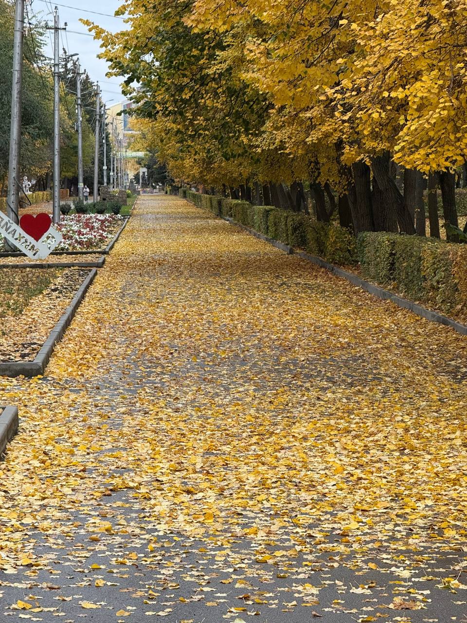 https://xn--24-6kcaj8aijhg0a4f.xn--p1ai//images/675499-img.jpg в Михайловке