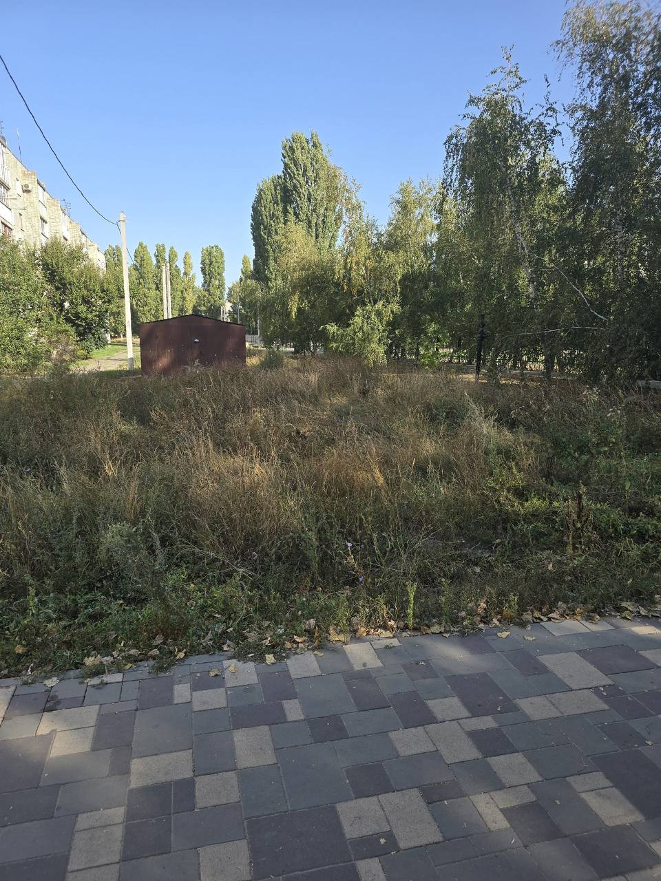 https://xn--24-6kcaj8aijhg0a4f.xn--p1ai//images/675893-img.jpg в Михайловке