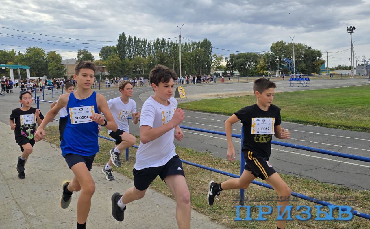 https://xn--24-6kcaj8aijhg0a4f.xn--p1ai//images/803811-img.jpg в Михайловке