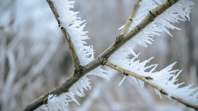 Погода в Михайловке на 14 февраля 2025