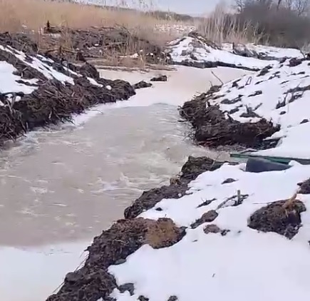 Экологическая катастрофа в Михайловке: озеро Подгорное оказалось под угрозой