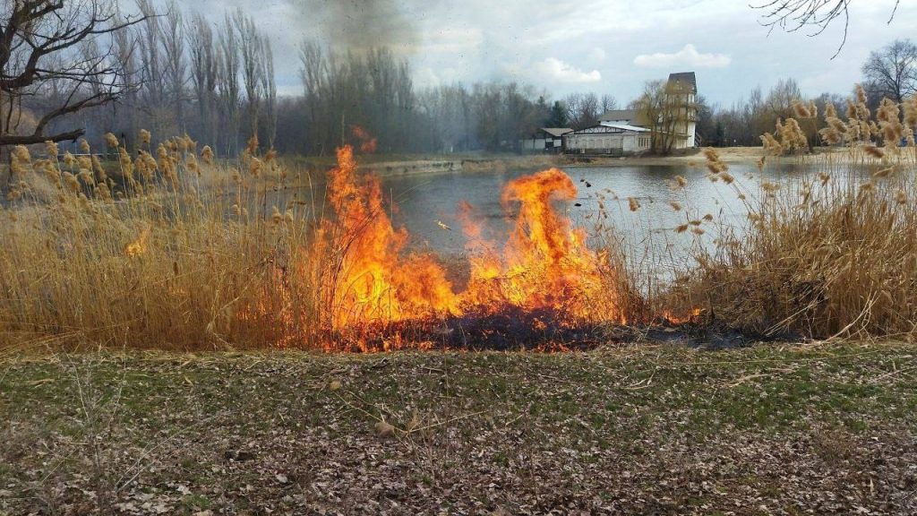 Что горит на городском пруду в Михайловке?