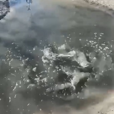 Годами затапливает улицу Энгельса в Михайловке — жители жалуются на бездействие чиновников