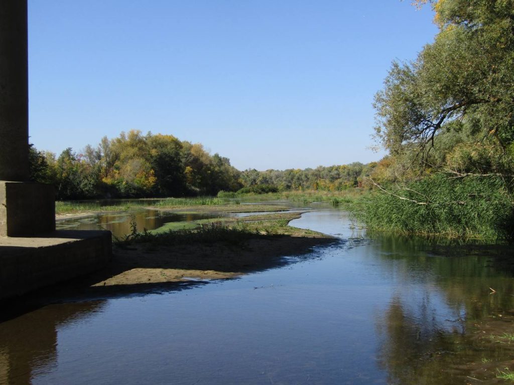 Река Медведица в станице Арчединская сильно обмелела