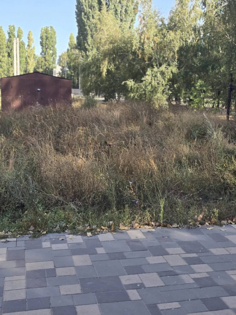 В Михайловке к 1 сентября не подготовили территорию у школ