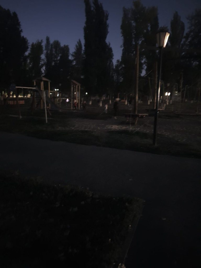 Проблемы с освещением в парках Михайловки мешают отдыху с детьми
