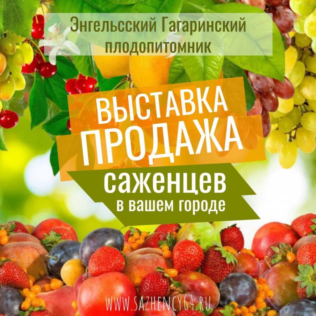 Выставка-продажа саженцев в Михайловке 3 октября