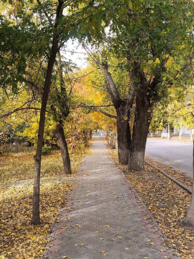 Осенние пейзажи Михайловки