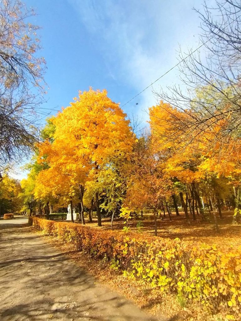 Золотая Осень в Михайловке
