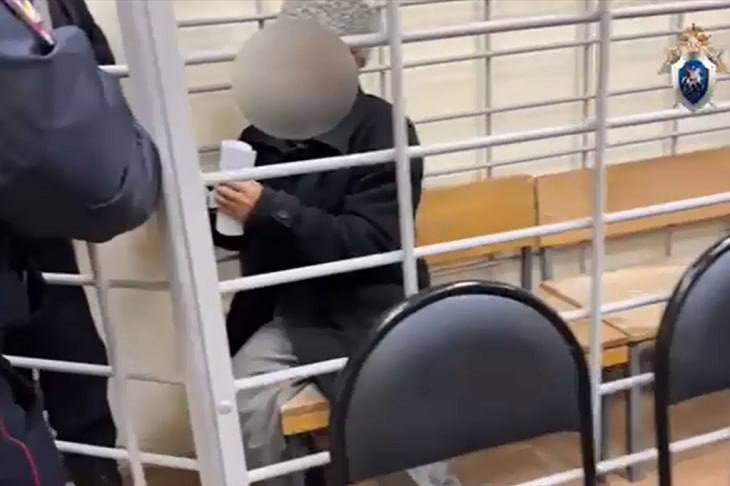 Михайловский суд вынес приговор за преступления против несовершеннолетней