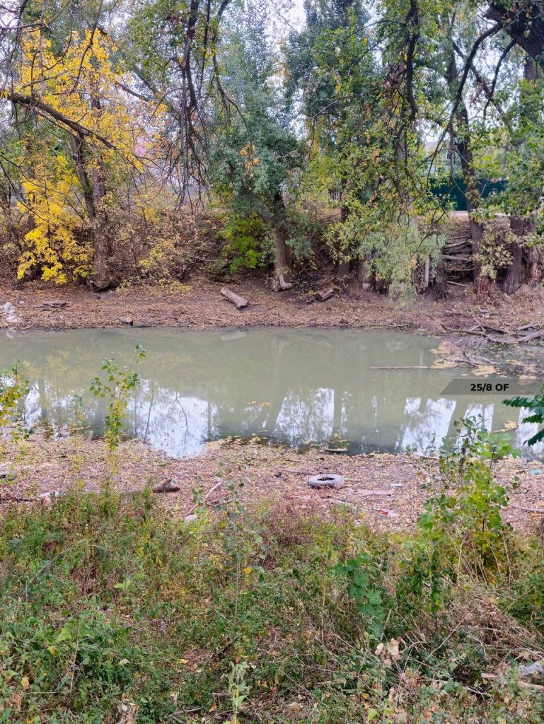 Река Арчеда во Фролово окрасилась в зелёный цвет
