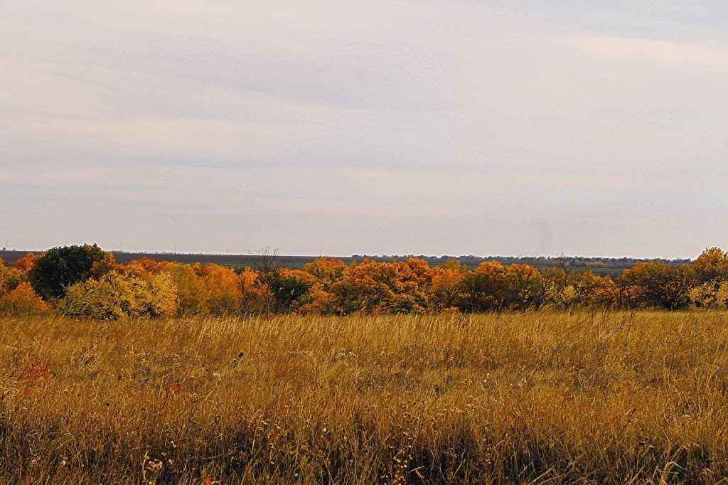 Осенняя красота Михайловской степи