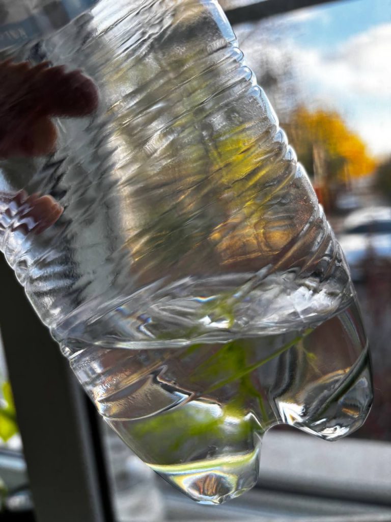 В Михайловке обнаружили тину в бутилированной воде