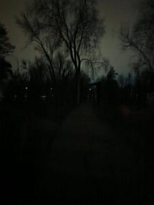 Жители Михайловки требуют освещения в городском парке