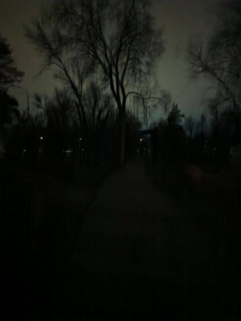 Жители Михайловки требуют освещения в городском парке