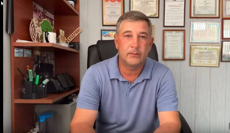 Упавшее дерево повредило автомобиль во дворе: суд обязал управляющую компанию возместить ущерб