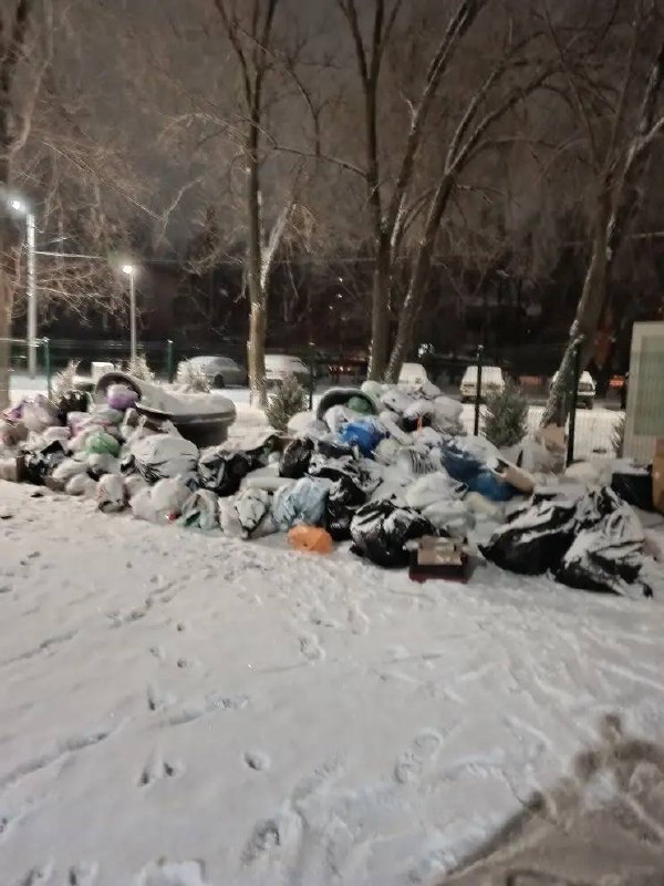 Новогодний «подарок» от управляющей компании: мусорные контейнеры переполнены у школы в Михайловке