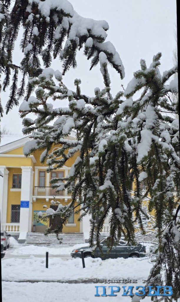 Сильные морозы ожидаются в Михайловке и регионе