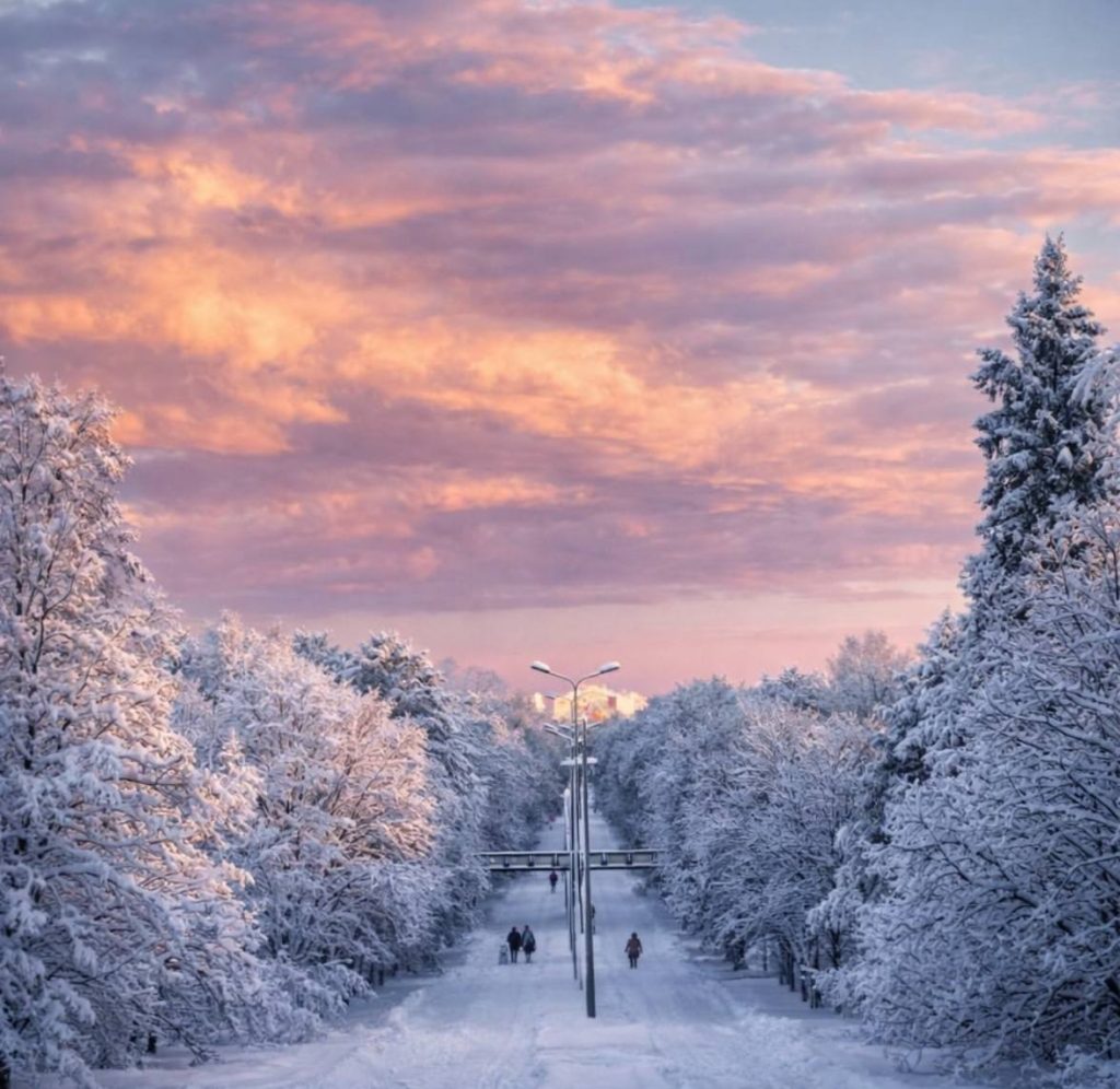 Парк имени Смехова в Михайловке преображается в зимнем убранстве