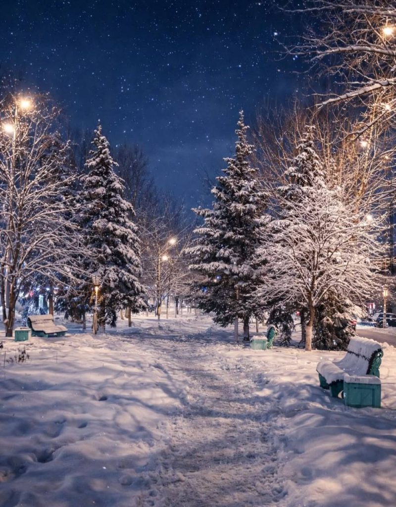 Волшебная аллея на улице Коммуны преображает Михайловку