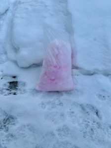 В Михайловке обнаружена смертельная отрава для животных