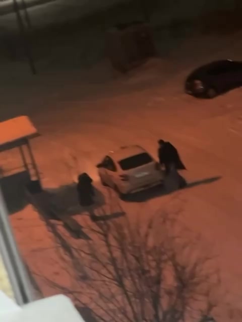 В Михайловке на улице Поперечной произошло избиение женщины