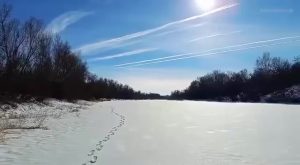 В Михайловке запечатлели редкую красоту ночного неба