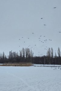 Жители Михайловки делятся фотографиями города