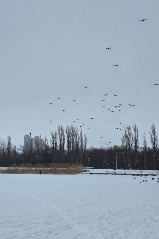 Жители Михайловки делятся фотографиями города