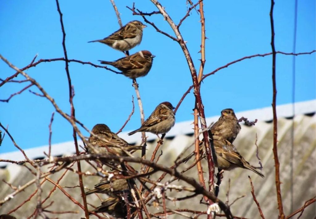 В Волгоградской области ожидается резкое потепление до +12 градусов