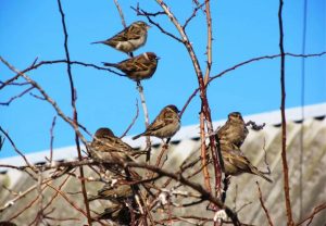 В Волгоградской области ожидается резкое потепление до +12 градусов