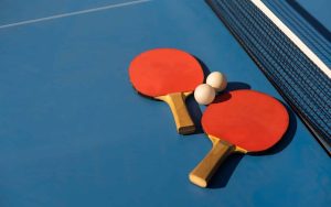 Турнир по настольному теннису в честь Дня защитника Отечества пройдёт в Михайловке