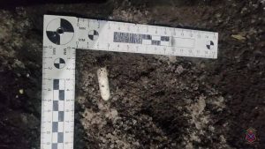 Трое жителей Михайловки задержаны при попытке забрать наркотики из тайника