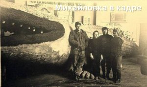 Цементный крокодил: история уникальной скульптуры Михайловки