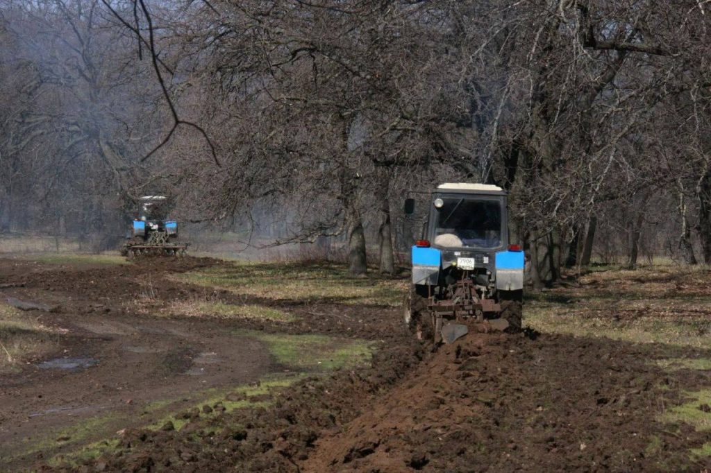 В Волгоградской области объявлен пожароопасный сезон