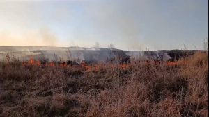 В Михайловке пожар на полях едва не привел к крупному ЧП