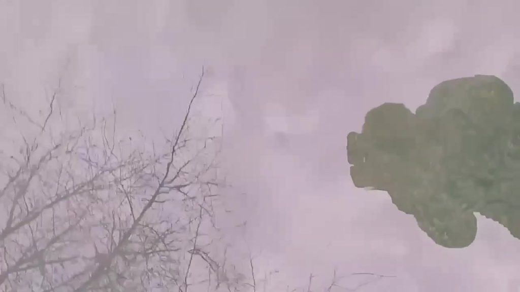 Жители Михайловки бьют тревогу из-за потопа канализационных стоков во дворе