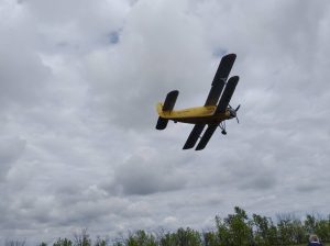 В Михайловском районе началась подготовка к обработке лесов от вредителей